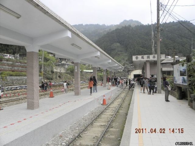 台中-草嶺-奮起湖-阿里山-塔塔加-東埔-台中大環繞(二)