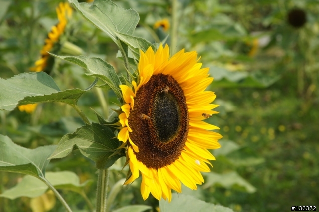 A33+16-80ZA一鏡到底之台灣頭尾走透透小公主寫真