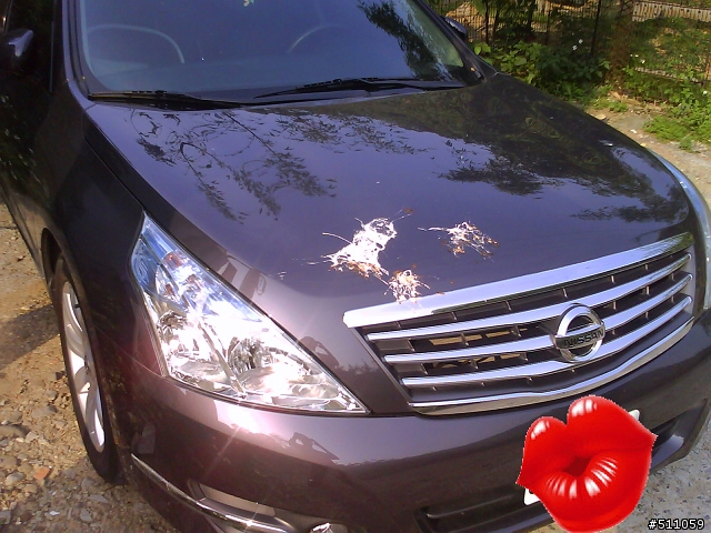 剛洗完車~~   超亮的