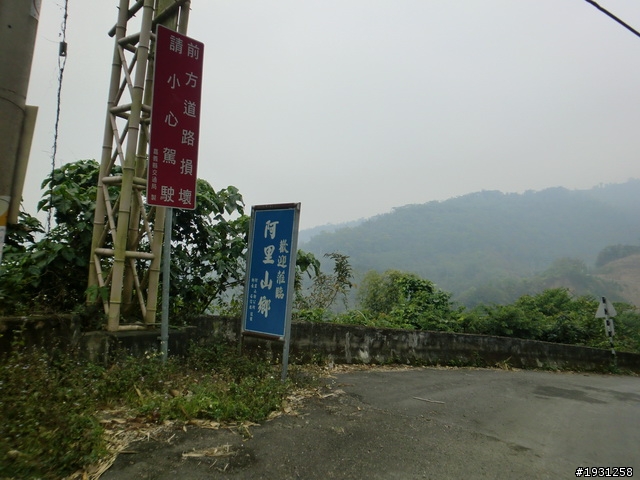 週休二日-每週一遊:阿里山