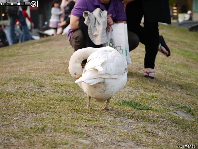 Panasonic Lumix G 45-200mm F4.0-5.6  開箱文
