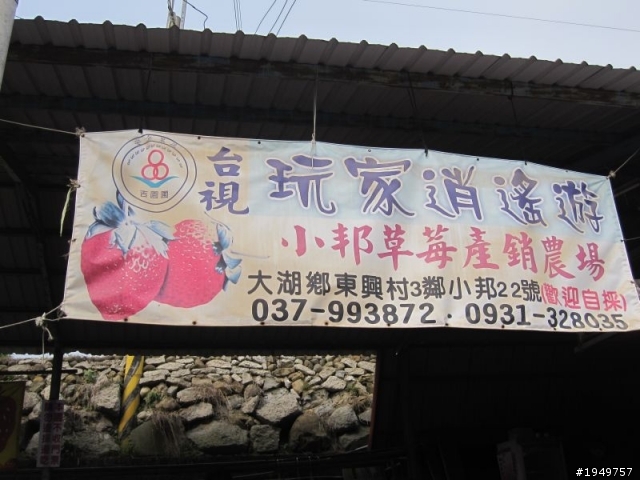 2010-04-10 大湖採草莓
