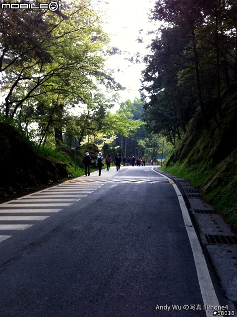 [04.09~04.10]安董之超級瘋狂阿里山遊記!!!