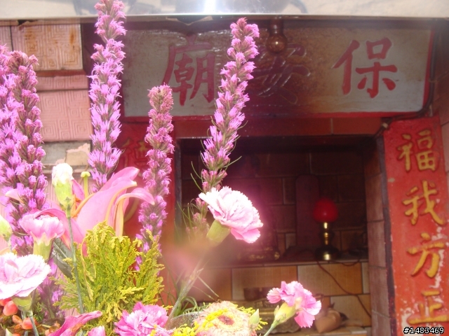 2011.5.1大雪山挑戰賽番外又一篇(轉山首部曲)