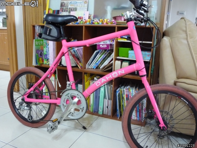 隨手拍  D牌小徑車  ??