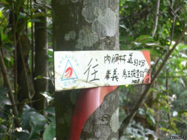 精靈的秘境-烏來內洞林道