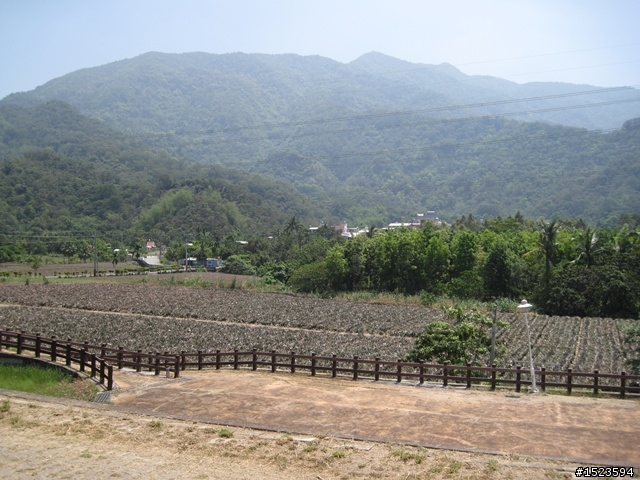 戀戀北大武 Part 2 ~ 桐花尋跡