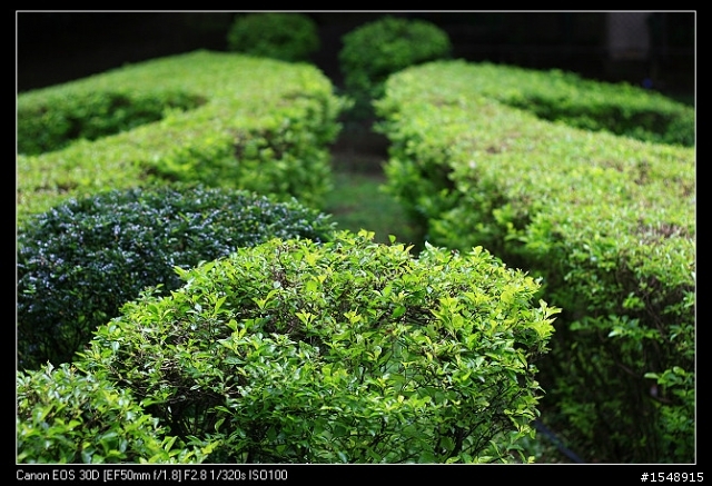 雙機流~我的Canon DSLR新手之路