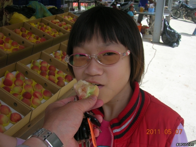 水蜜桃.蜜李.山豬肉之..那瑪夏----茶山行!!
