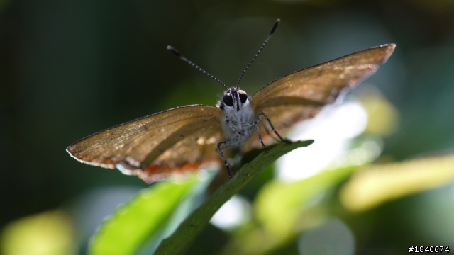 GF2+AIS 55mm Micro  試拍