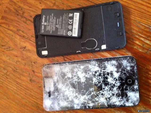 5/4晚上7點多...石牌路撿到的..請認領