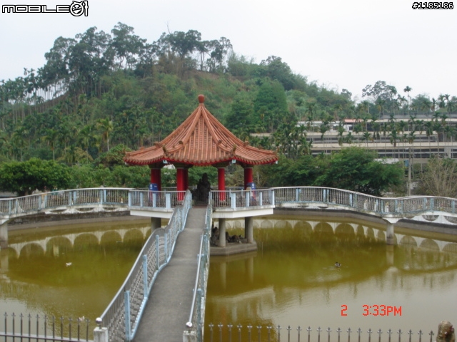 高雄-尾寮山 雲林-古坑 台東-池上 桐花遊
