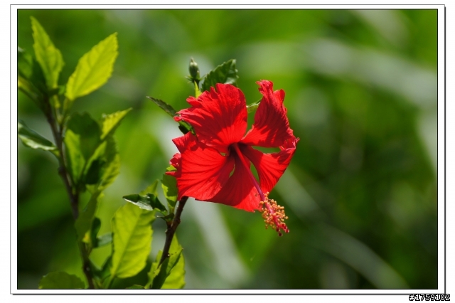 TAMRON SP 70-300mm A005開箱+試鏡實拍