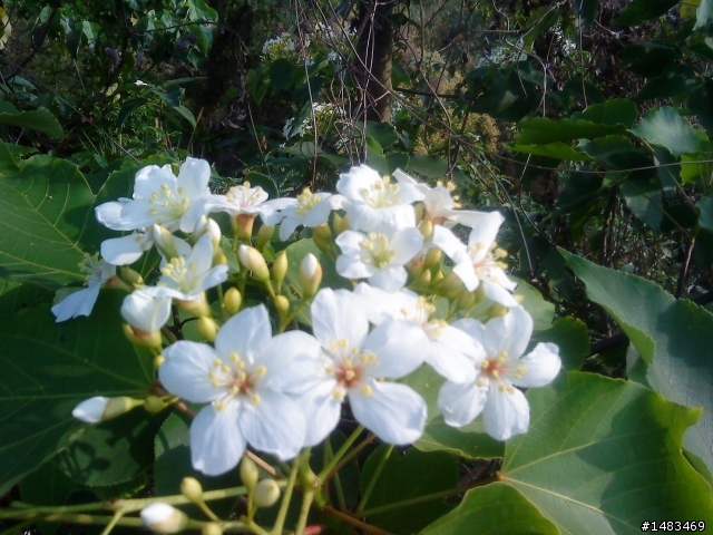 2011.4.24八卦山台地馬拉松