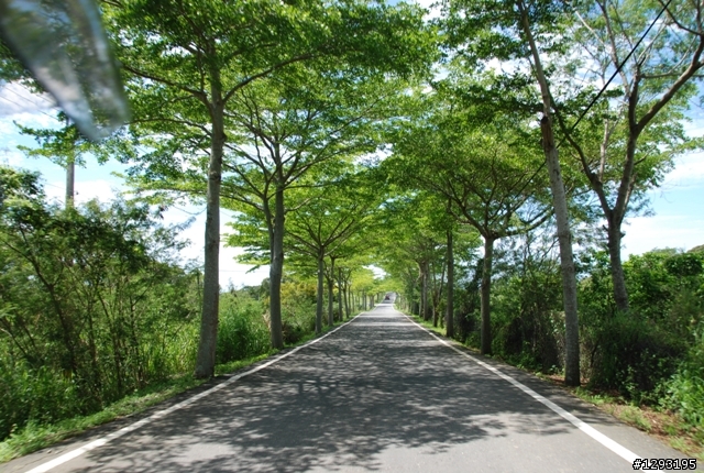 小而美的自行車活動  20110515 台東節能減碳瘋鐵馬