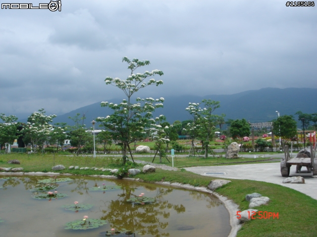 高雄-尾寮山 雲林-古坑 台東-池上 桐花遊