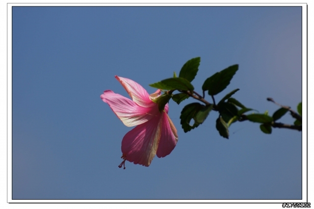 TAMRON SP 70-300mm A005開箱+試鏡實拍