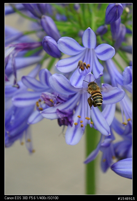 雙機流~我的Canon DSLR新手之路