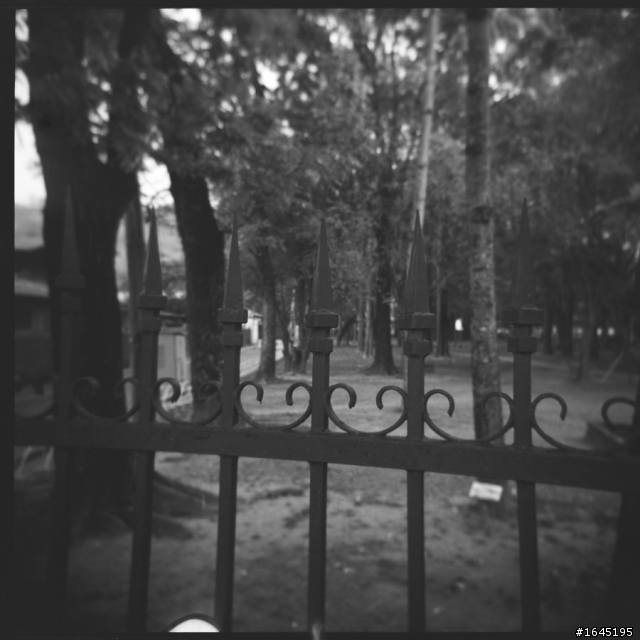 45樓新增彩負拍攝成果--非腦袋派之 HOLGA 120GCFN 開箱 + 第一卷成果