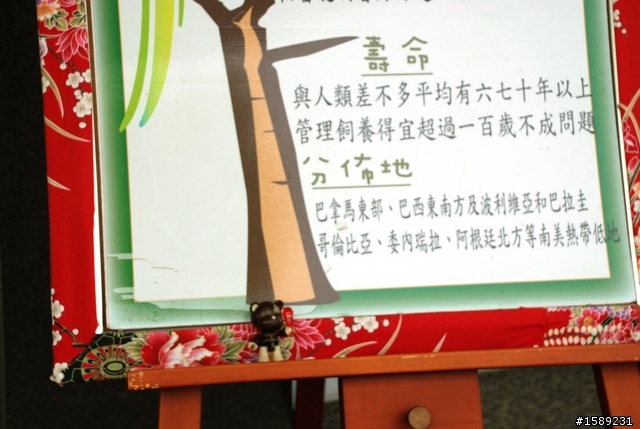 自然風情，單眼拍拍行。