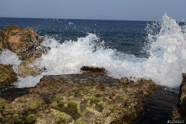 1200km的流浪後,我希望我有所得