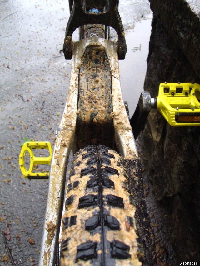 SANTA CRUZ V10.4