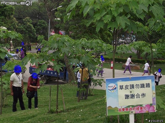 客家大院.油桐花.(外加高難度動作圖片.限制級)