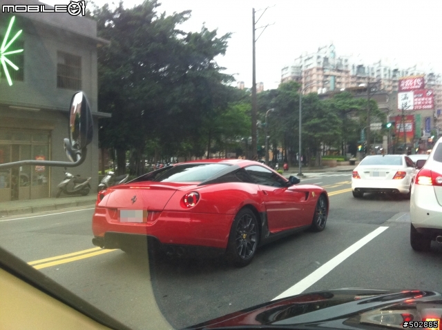各位 能告知這是什麼馬嘛?