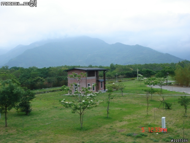 高雄-尾寮山 雲林-古坑 台東-池上 桐花遊