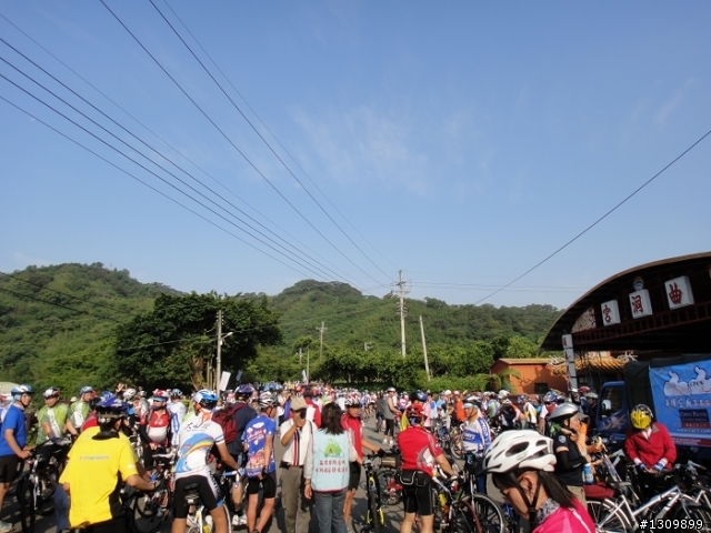 苗栗2011瘋火輪、遊桐趣