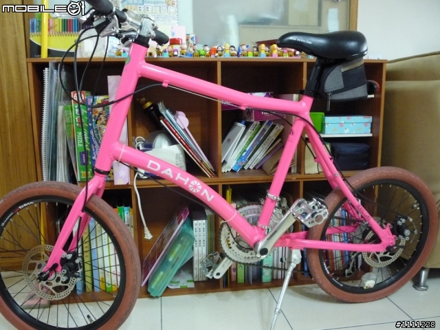 隨手拍  D牌小徑車  ??