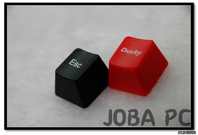 DUCKY紅軸~~