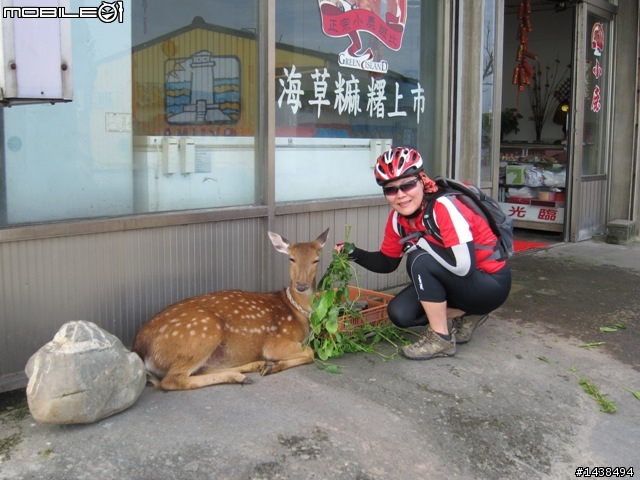 [遊記分享]單車環綠島