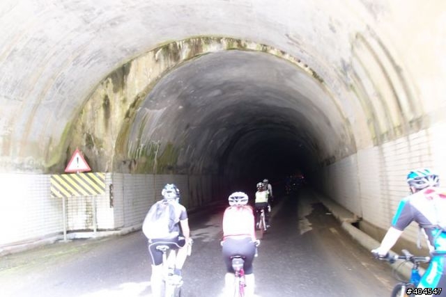 [分享]2011NS探索新中橫塔塔加相片