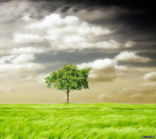 使用ARC的大大可分享桌布嗎?