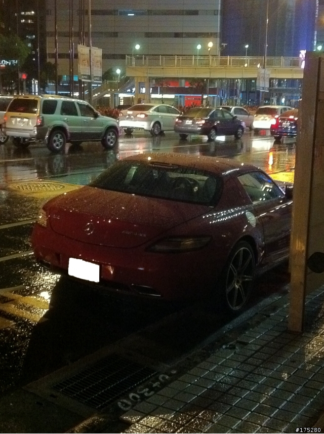 淋著雨的海鷗~太美了!!