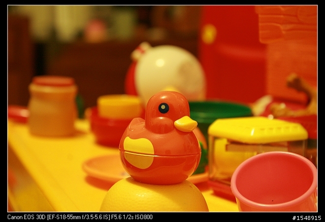 雙機流~我的Canon DSLR新手之路