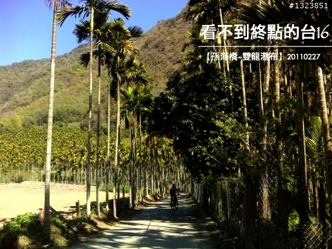 看不到終點的台16