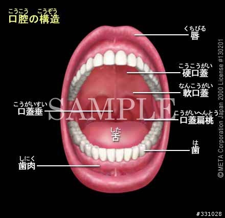 懇請神人幫幫忙,去除圖片上的文字
