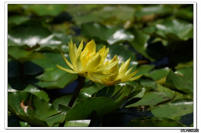 TAMRON SP 70-300mm A005開箱+試鏡實拍
