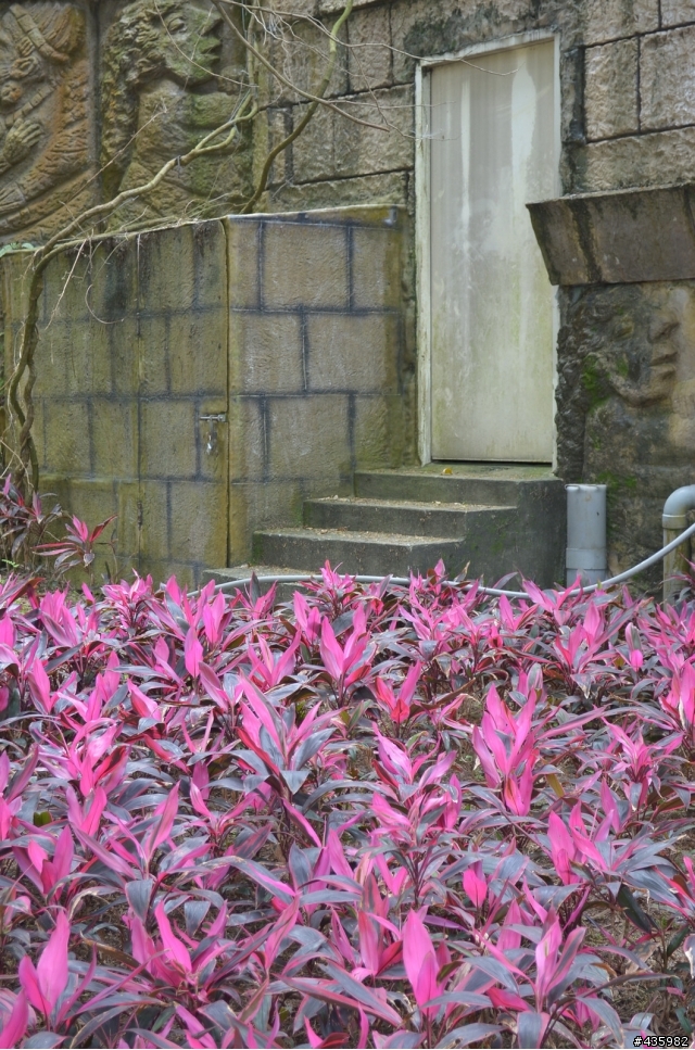 [開箱]Nikon D5100 (附上與Panasonic G1 機身與鏡頭尺寸比較)