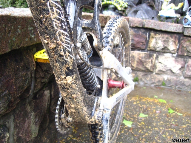 SANTA CRUZ V10.4