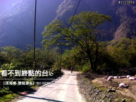 看不到終點的台16
