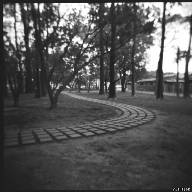 45樓新增彩負拍攝成果--非腦袋派之 HOLGA 120GCFN 開箱 + 第一卷成果