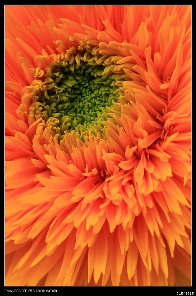 雙機流~我的Canon DSLR新手之路