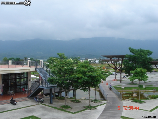 高雄-尾寮山 雲林-古坑 台東-池上 桐花遊