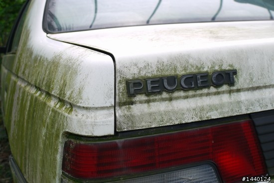歷久不衰的美麗身影 PEUGEOT