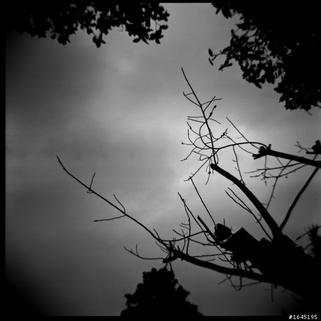 45樓新增彩負拍攝成果--非腦袋派之 HOLGA 120GCFN 開箱 + 第一卷成果