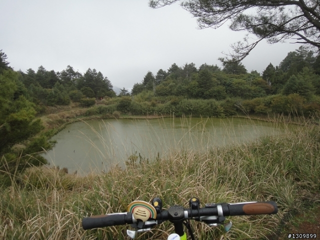 2011 5/1勞動節，來去大雪山深呼吸