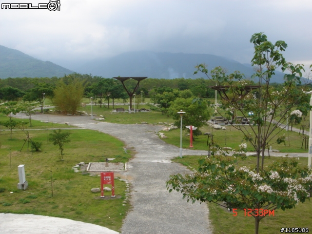 高雄-尾寮山 雲林-古坑 台東-池上 桐花遊